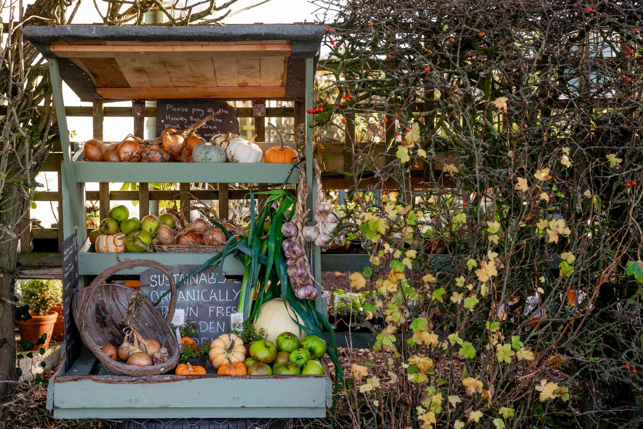 Farm stand display of fresh organic produce