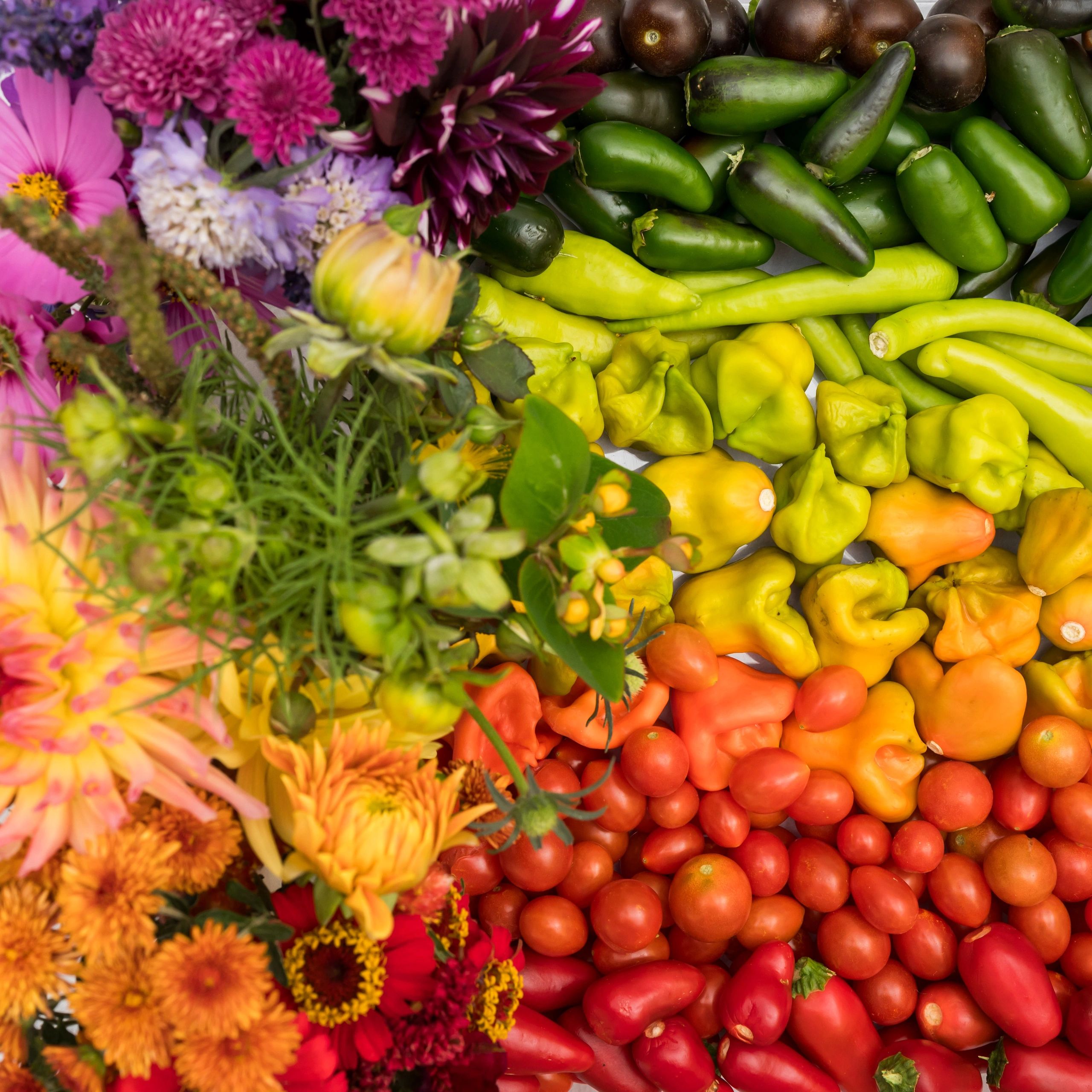 Colorful vegetables arranged in rainbow hues