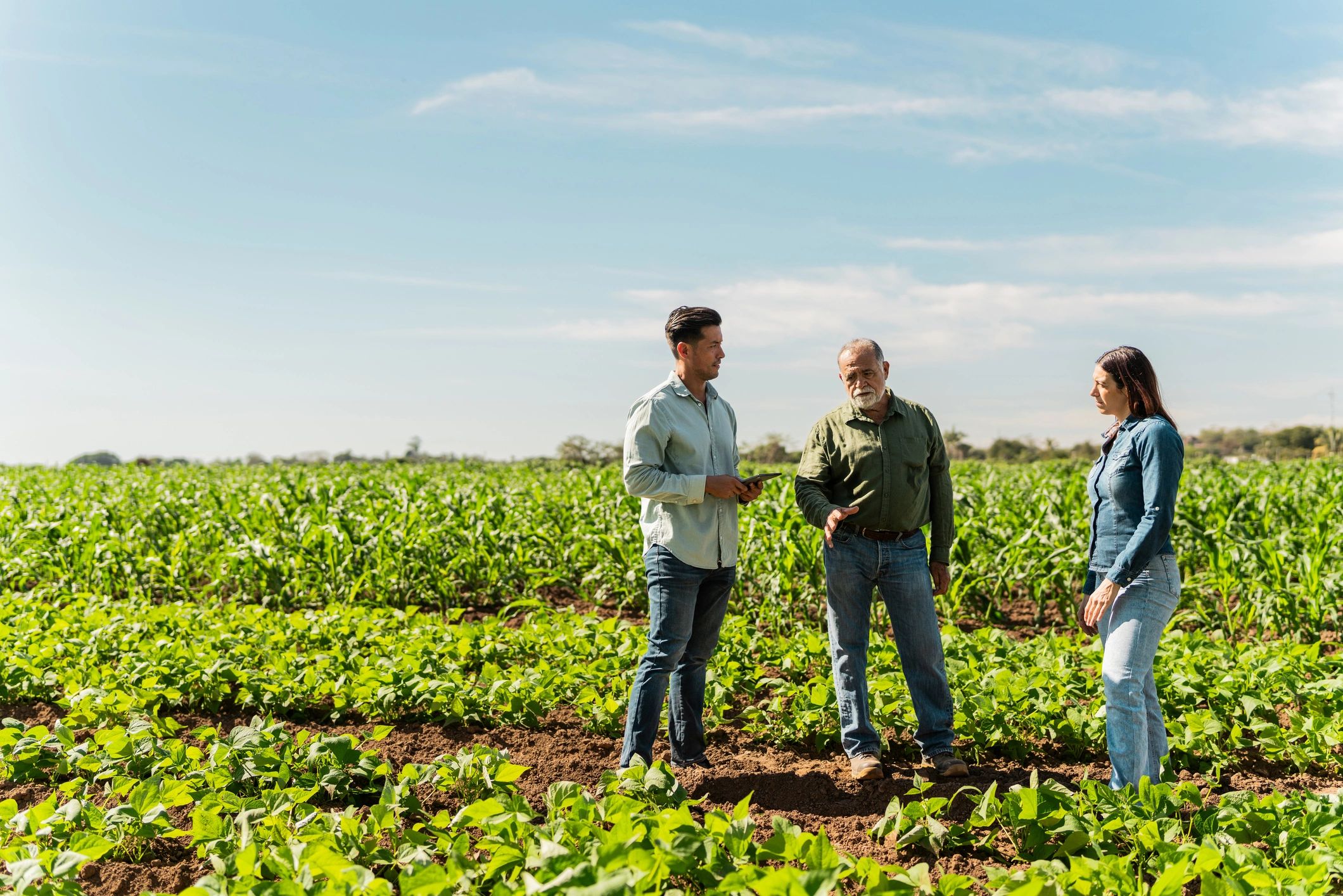 Farm team speaking with growers in a field
