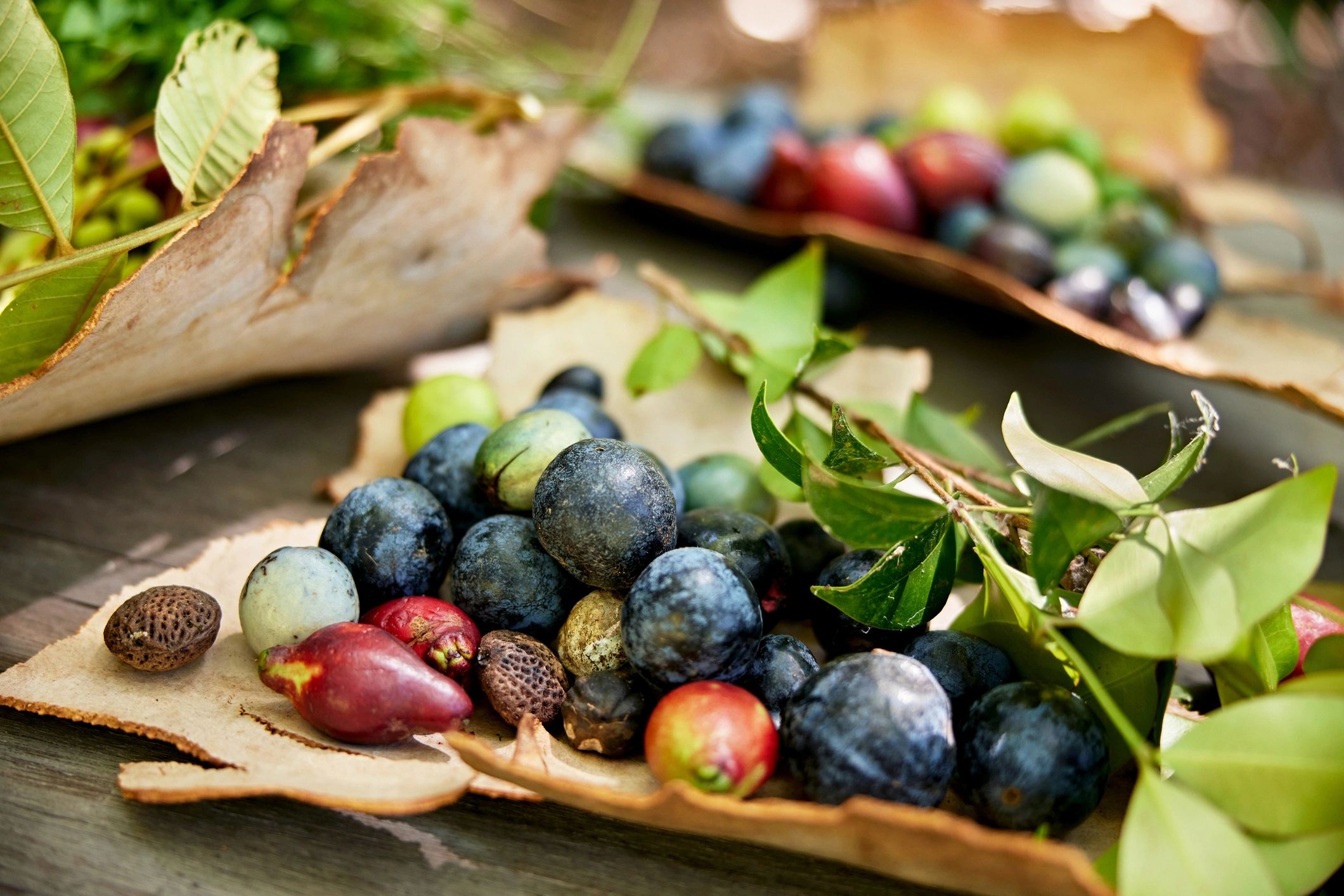 Close-up of fresh fruit displayed outdoors