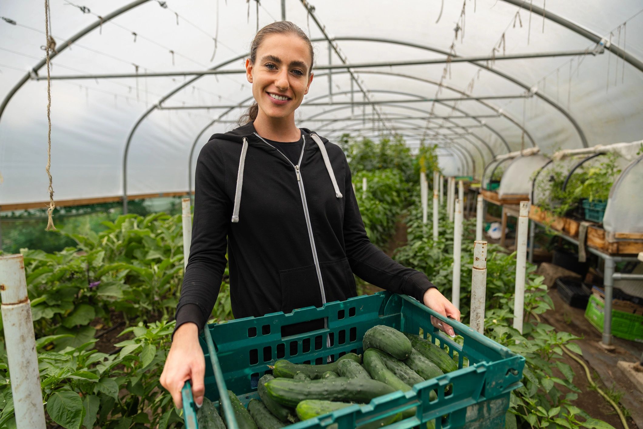 Farm team member holding a crate of freshly harvested vegetables in a greenhouse